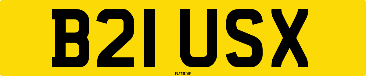 B21 USX Number Plate