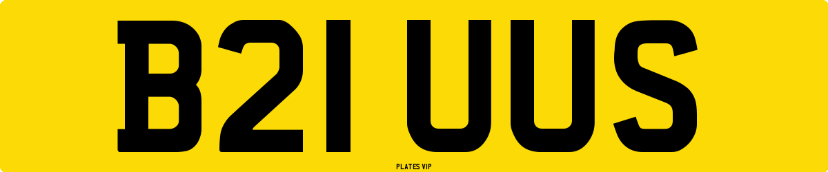 B21 UUS Number Plate