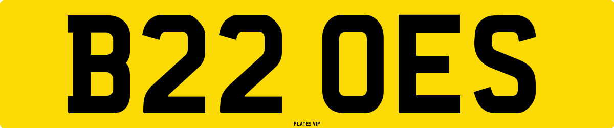 B22 OES Number Plate