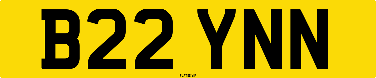 B22 YNN Number Plate