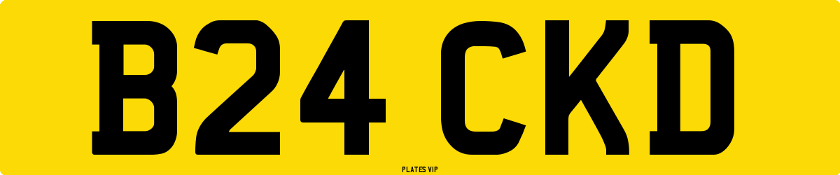 B24 CKD Number Plate