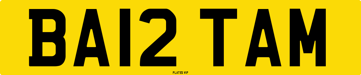 BA12 TAM Number Plate