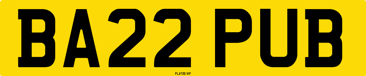 BA22 PUB Number Plate