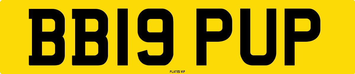 BB19 PUP Number Plate