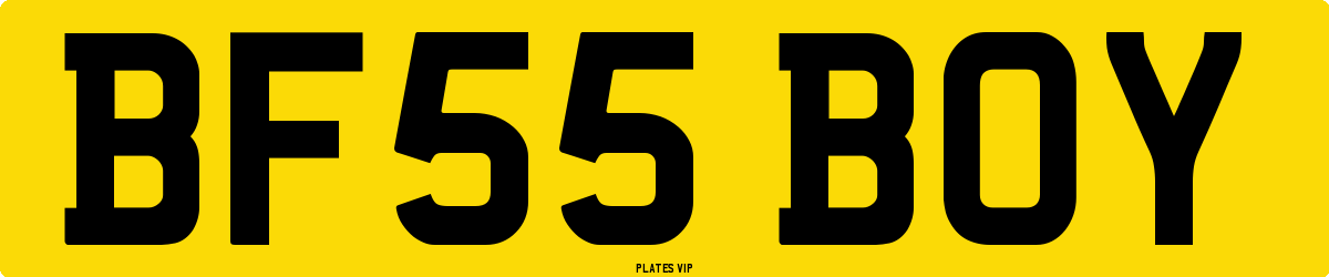 BF55 BOY Number Plate