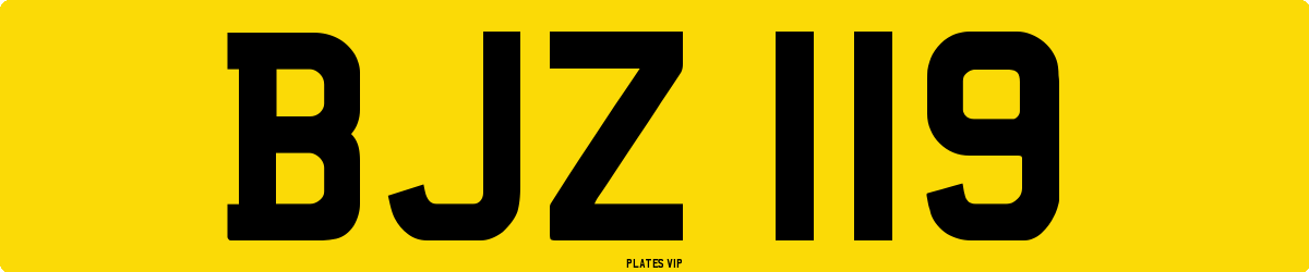 BJZ 119 Number Plate