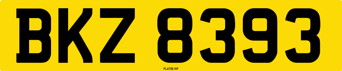 BKZ 8393 Number Plate