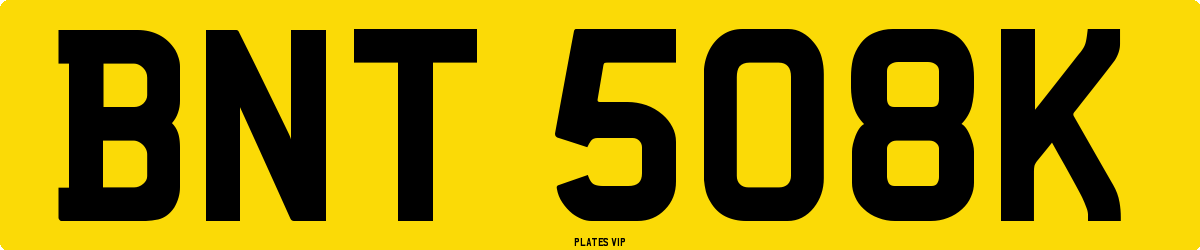 BNT 508K Number Plate