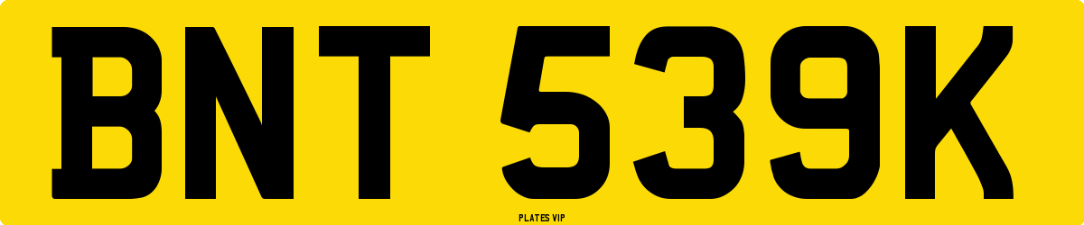 BNT 539K Number Plate