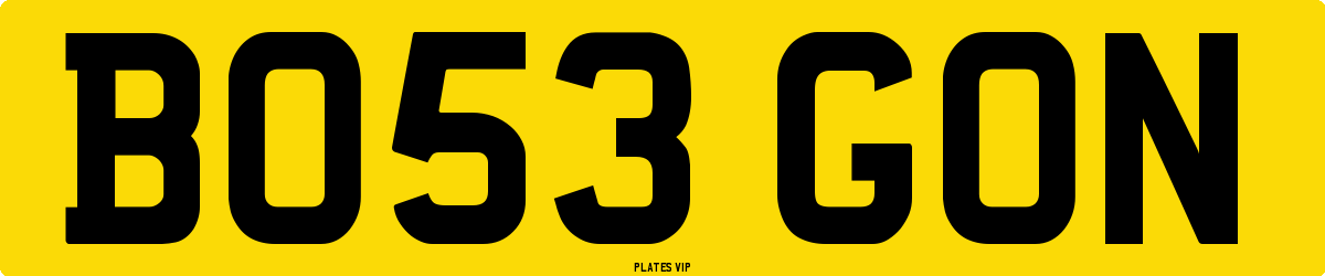 BO53 GON Number Plate