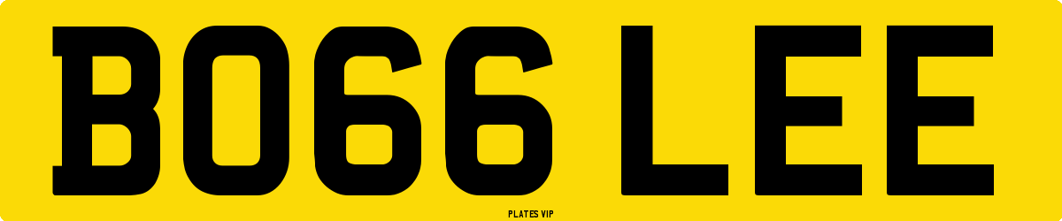 BO66 LEE Number Plate