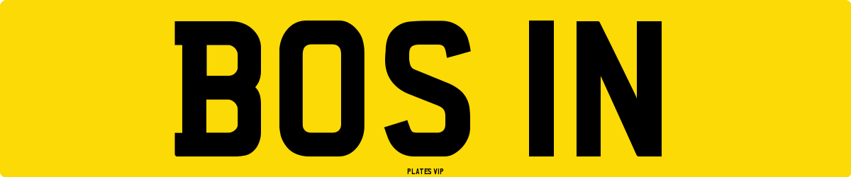 BOS 1N Number Plate