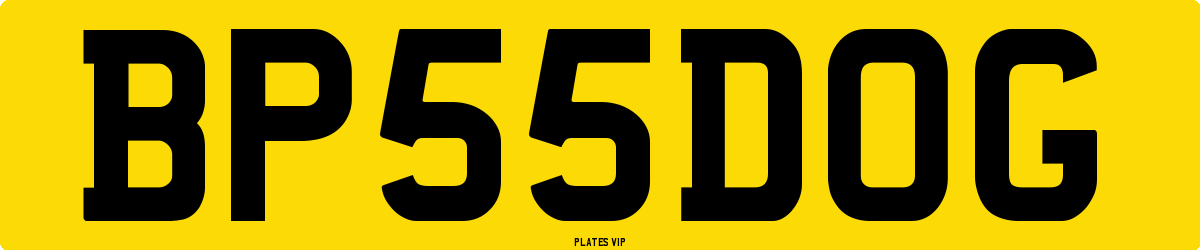 BP 55 DOG Number Plate