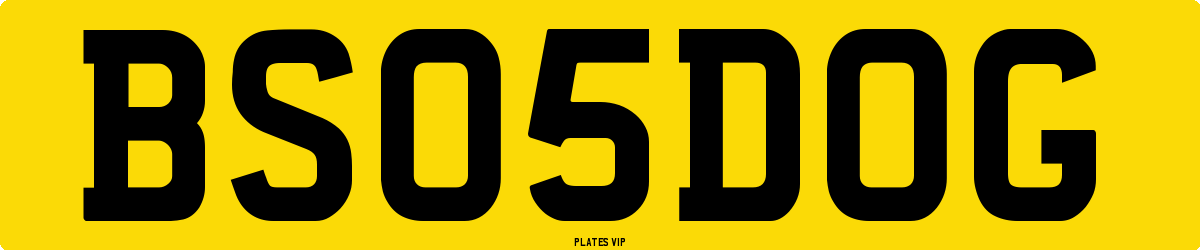 BS 05 DOG Number Plate