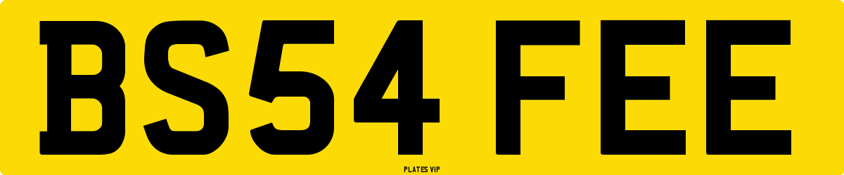 BS54 FEE Number Plate