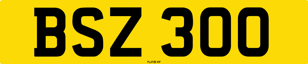 BSZ 300 Number Plate