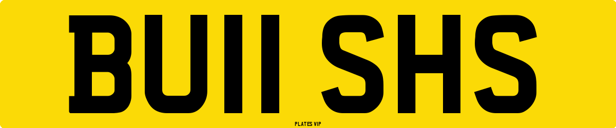 BU11 SHS Number Plate