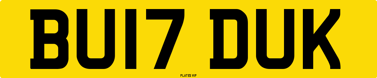 BU17 DUK Number Plate