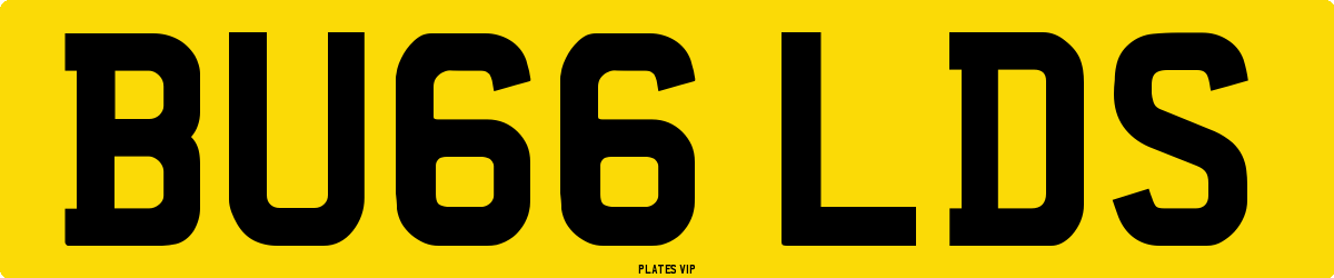 BU66 LDS Number Plate