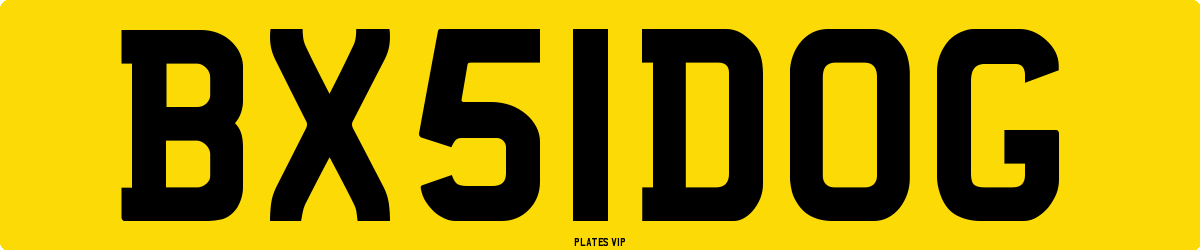 BX 51 DOG Number Plate