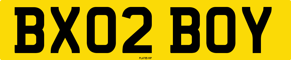 BX02 BOY Number Plate