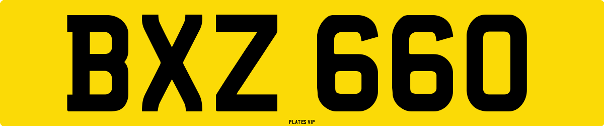 BXZ 660 Number Plate