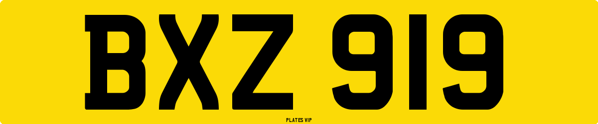 BXZ 919 Number Plate
