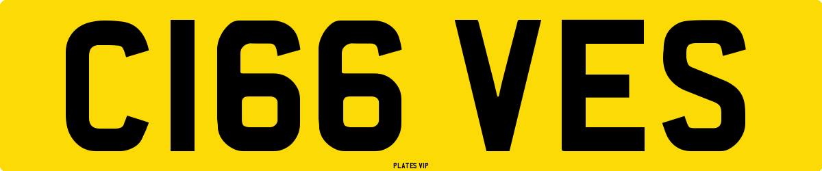 C166 VES Number Plate
