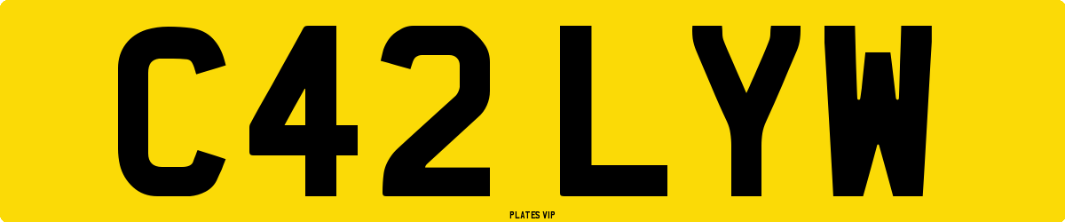 C42 LYW Number Plate