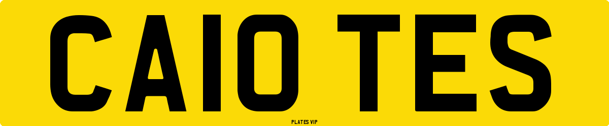 CA10 TES Number Plate