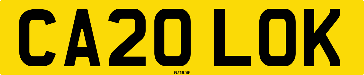 CA20 LOK Number Plate