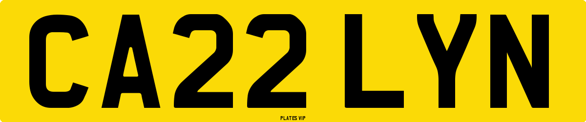 CA22 LYN Number Plate