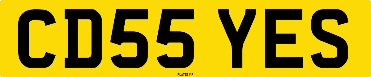 CD55 YES Number Plate