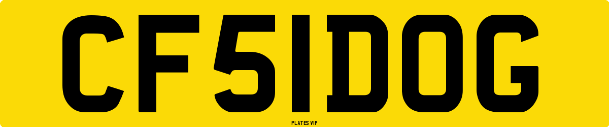 CF 51 DOG Number Plate