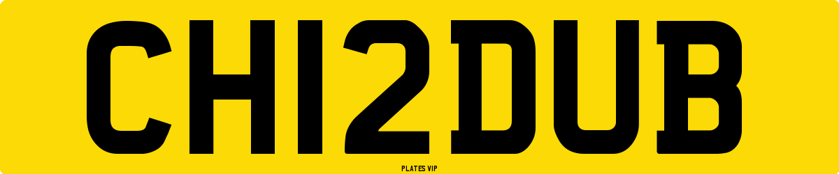 CH12DUB Number Plate