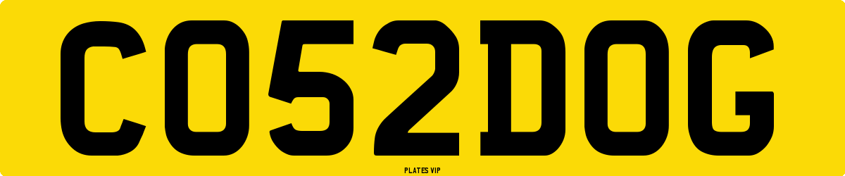 CO 52 DOG Number Plate