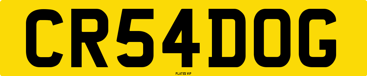 CR 54 DOG Number Plate