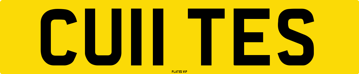 CU11 TES Number Plate