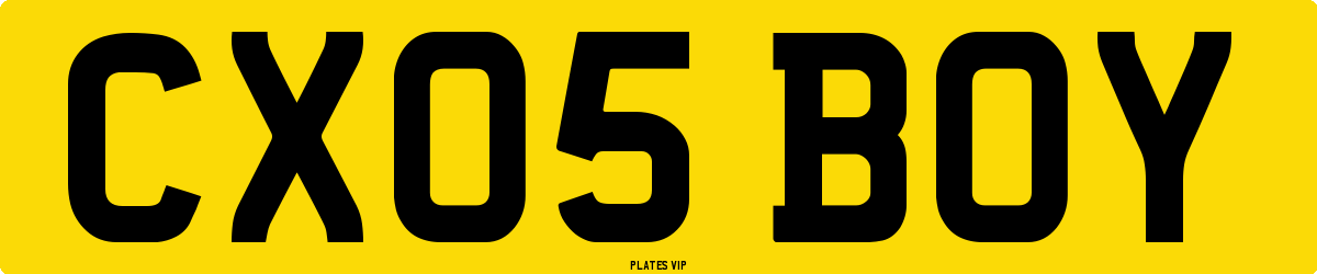 CX05 BOY Number Plate