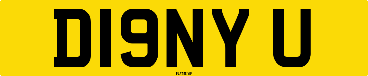 D19NY U Number Plate