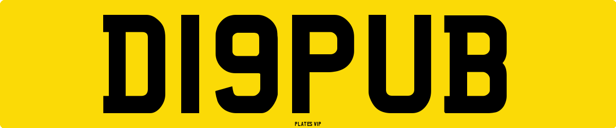 D19PUB Number Plate