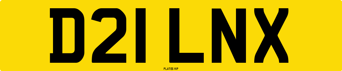 D21 LNX Number Plate