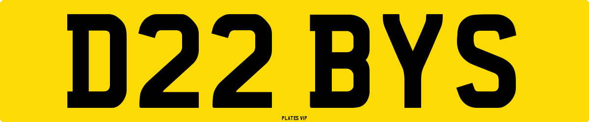 D22 BYS Number Plate