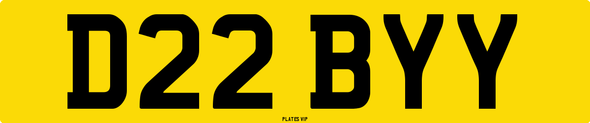 D22 BYY Number Plate