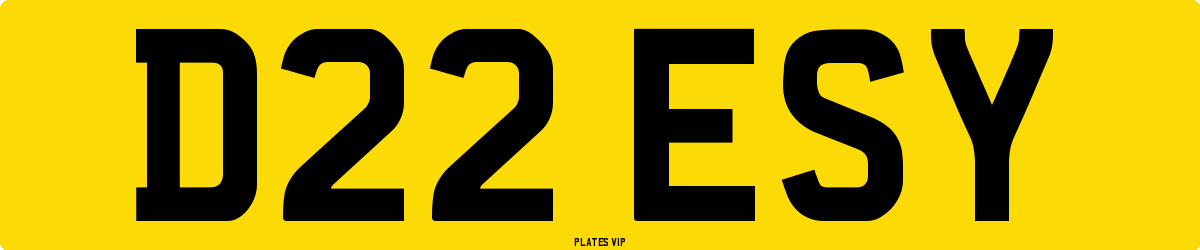 D22 ESY Number Plate