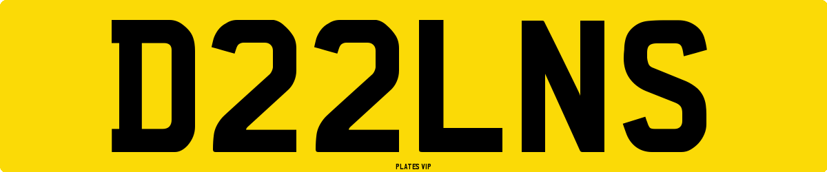 D22LNS Number Plate