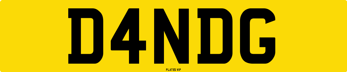 D4NDG Number Plate