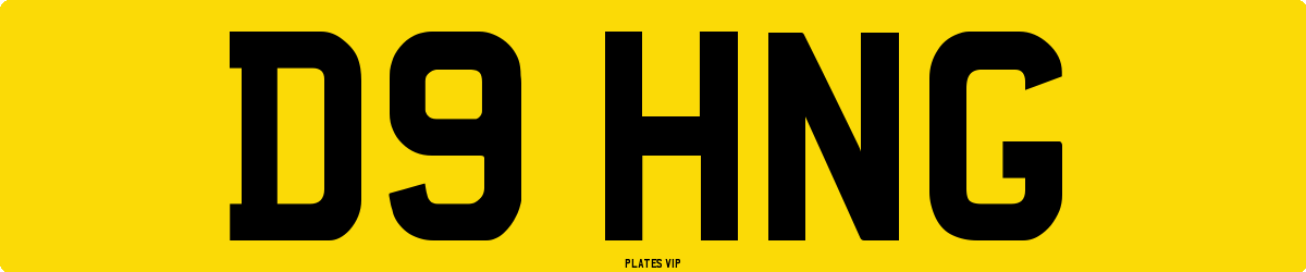 D9 HNG Number Plate