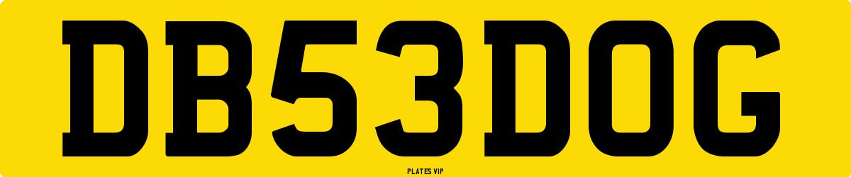 DB 53 DOG Number Plate