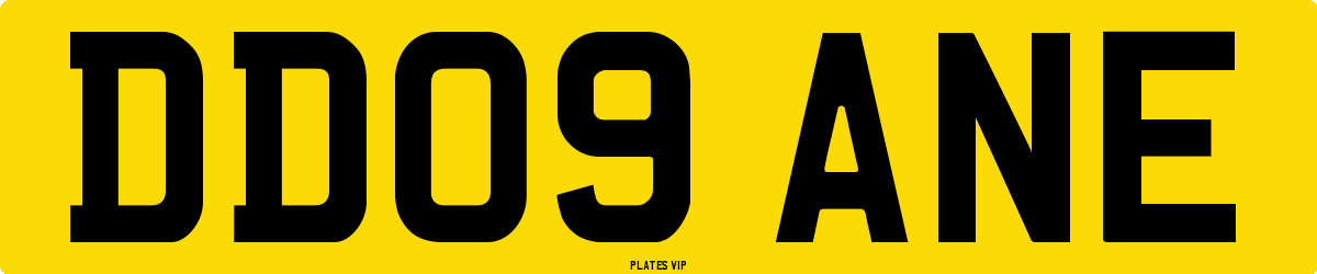 DD09 ANE Number Plate